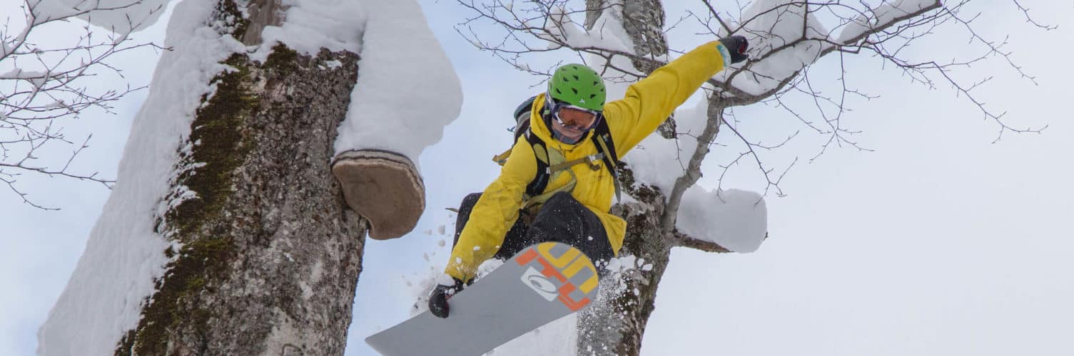 Best Snowboards for 20192020